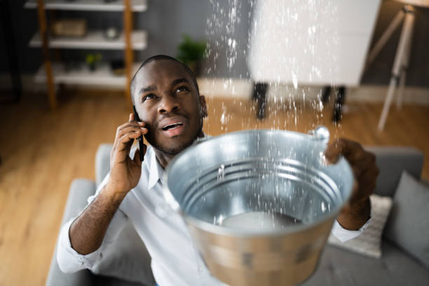  Pahokee, FL Water damage restoration Pros