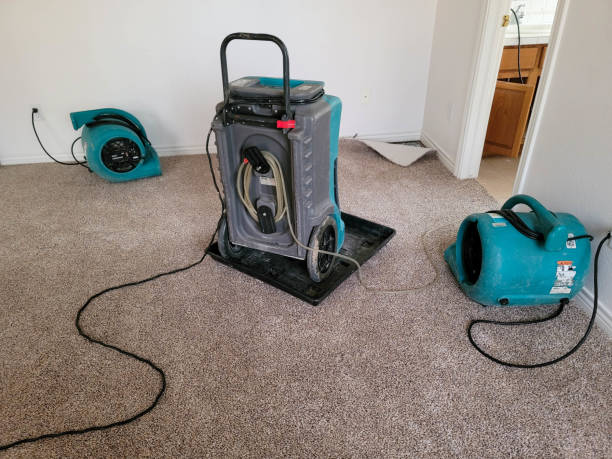 Best 24-hour water damage restoration  in Pahokee, FL