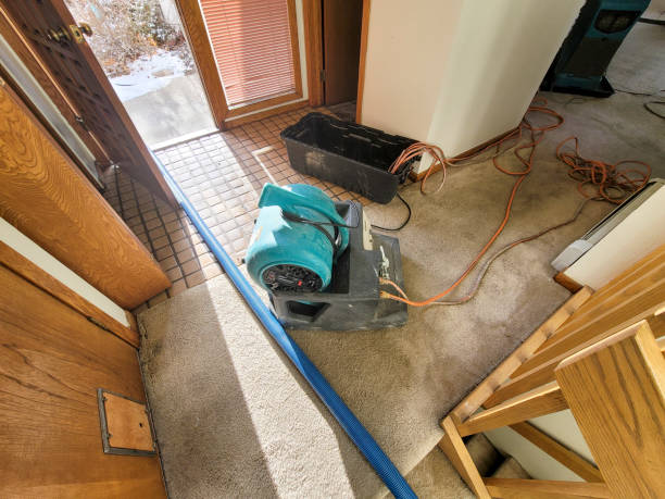 Best Emergency water damage restoration  in Pahokee, FL
