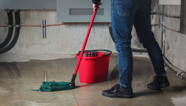 Best Local water damage restoration  in Pahokee, FL