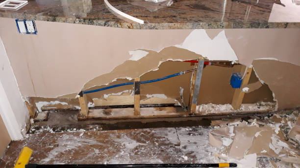 Best Flood damage cleanup  in Pahokee, FL