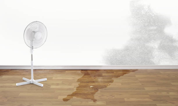 Best Fire Damage Restoration  in Pahokee, FL