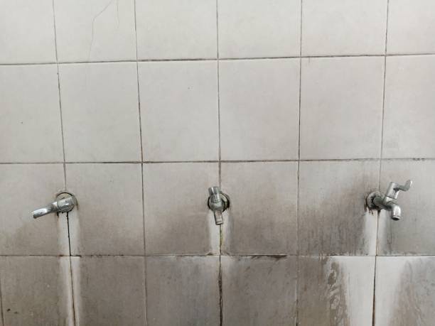 Best Basement water damage restoration  in Pahokee, FL