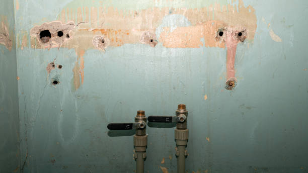 Best Ceiling water damage repair  in Pahokee, FL