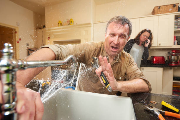 Best Water damage repair service  in Pahokee, FL